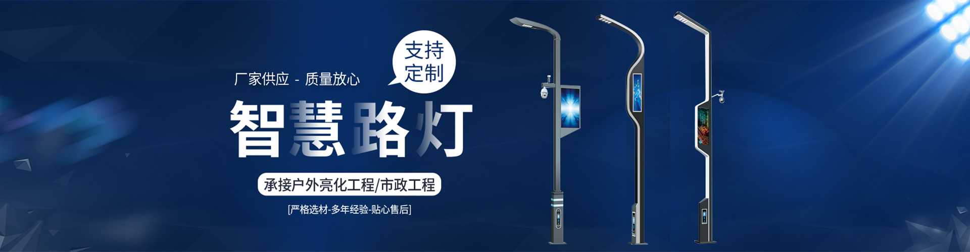 金山区太阳能路灯定制厂家